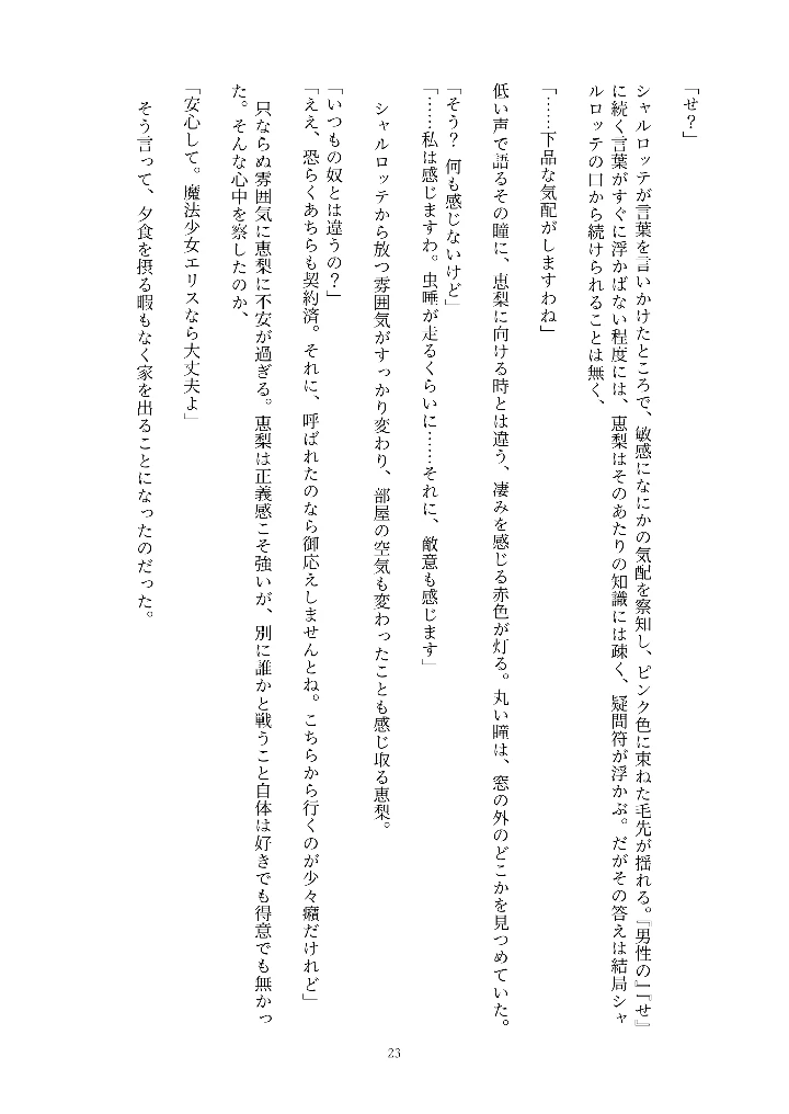 23ページ目
