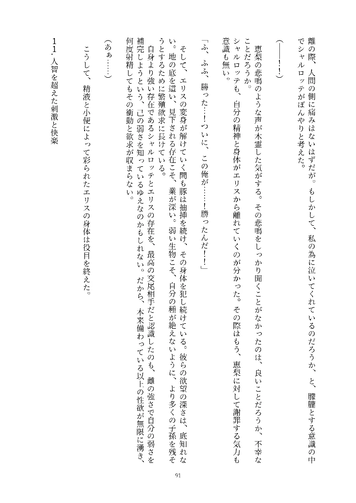 91ページ目