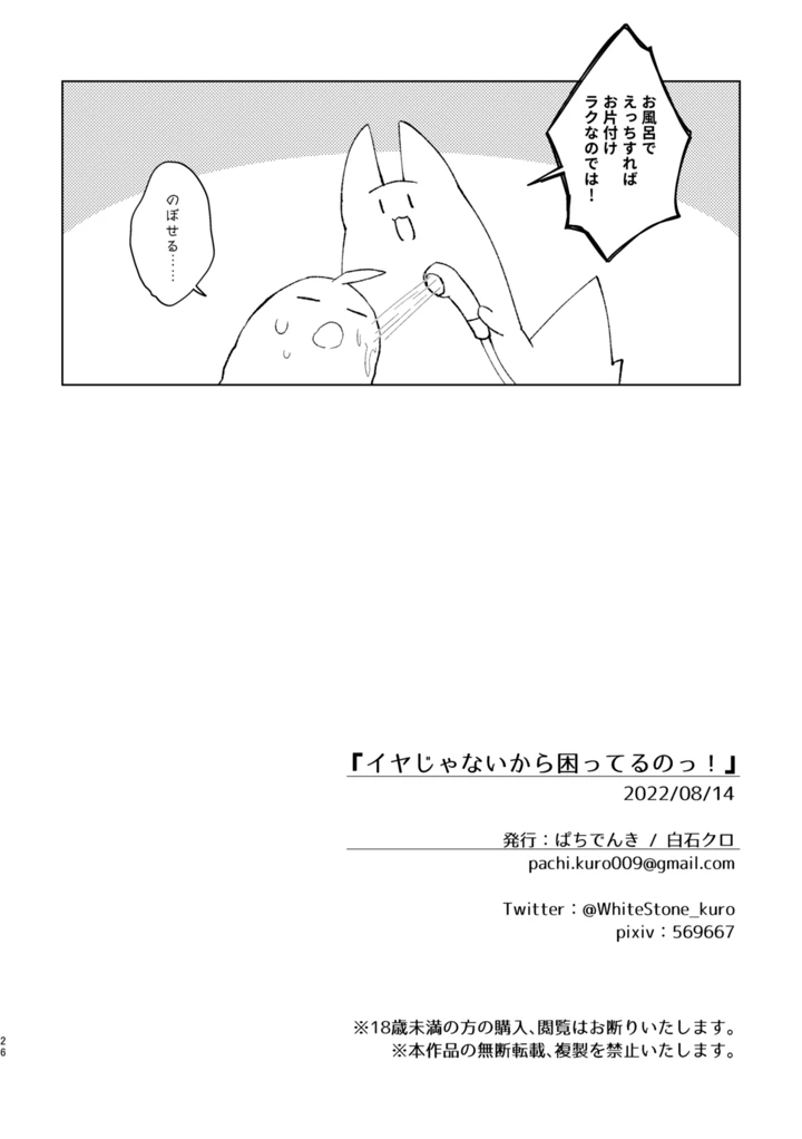 25ページ目