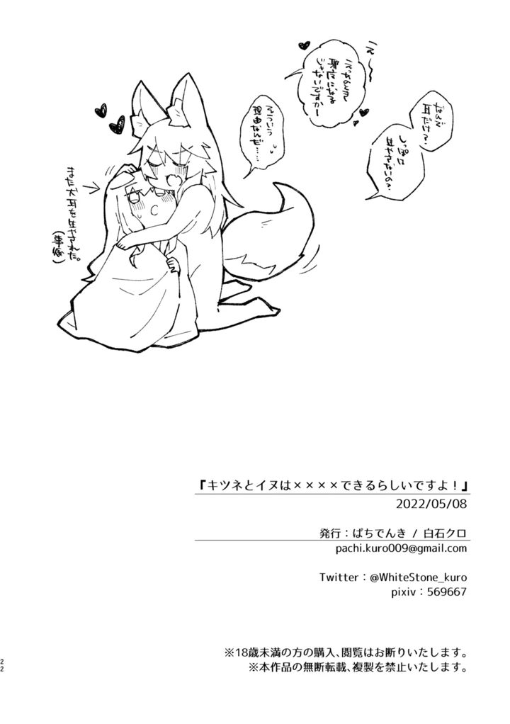 21ページ目