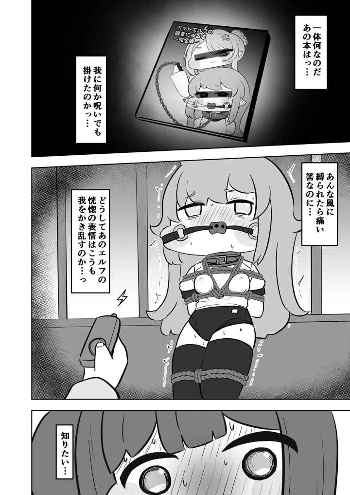 13ページ目