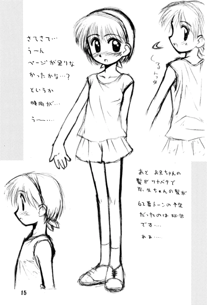 15ページ目
