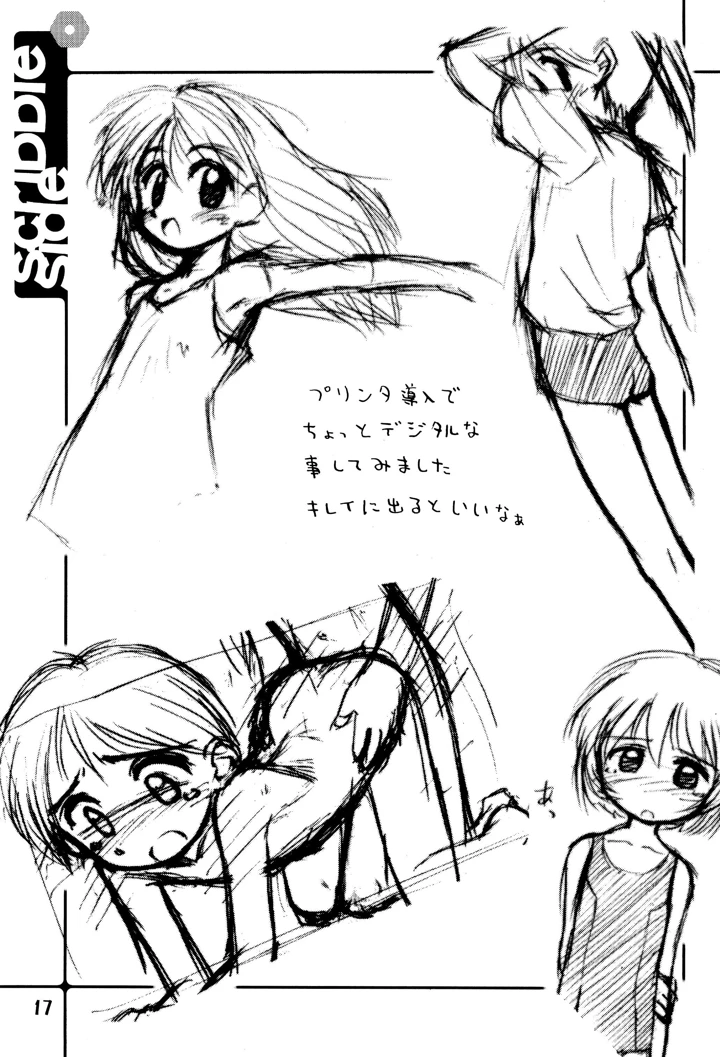 17ページ目