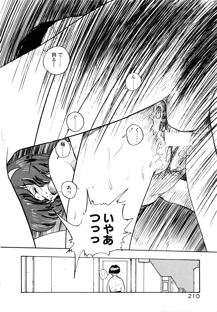 217ページ目