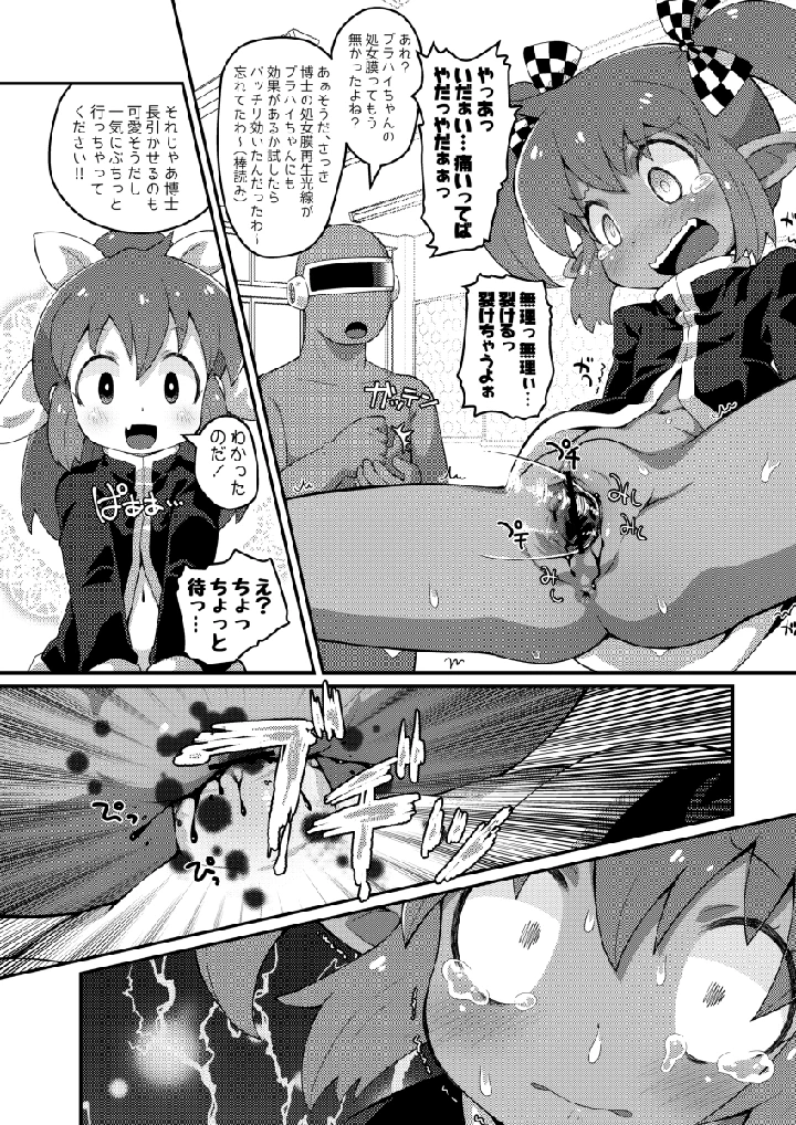 12ページ目