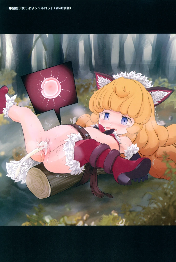 11ページ目