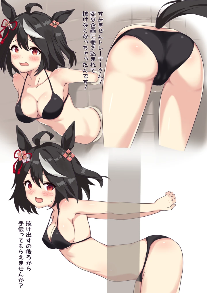 3ページ目