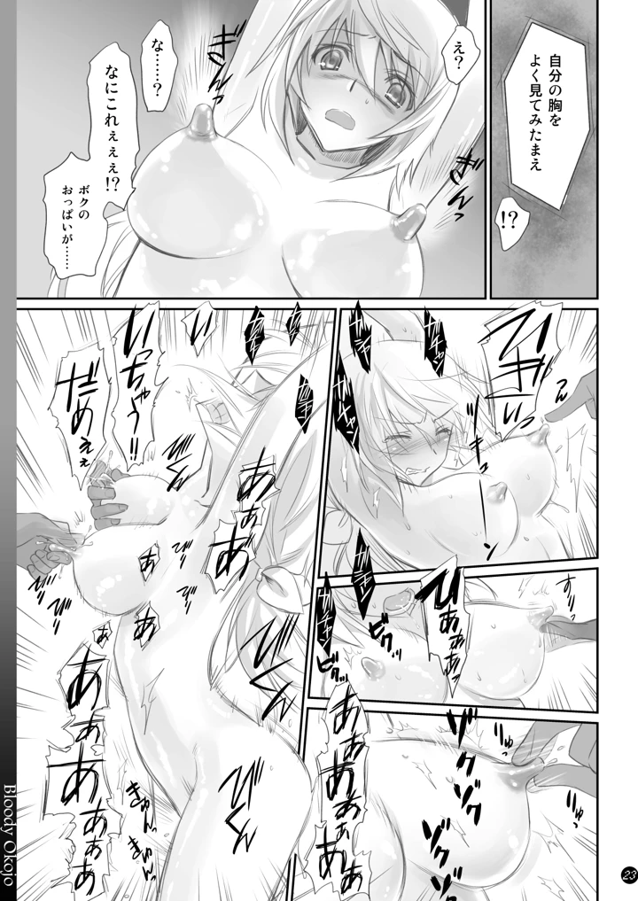 23ページ目