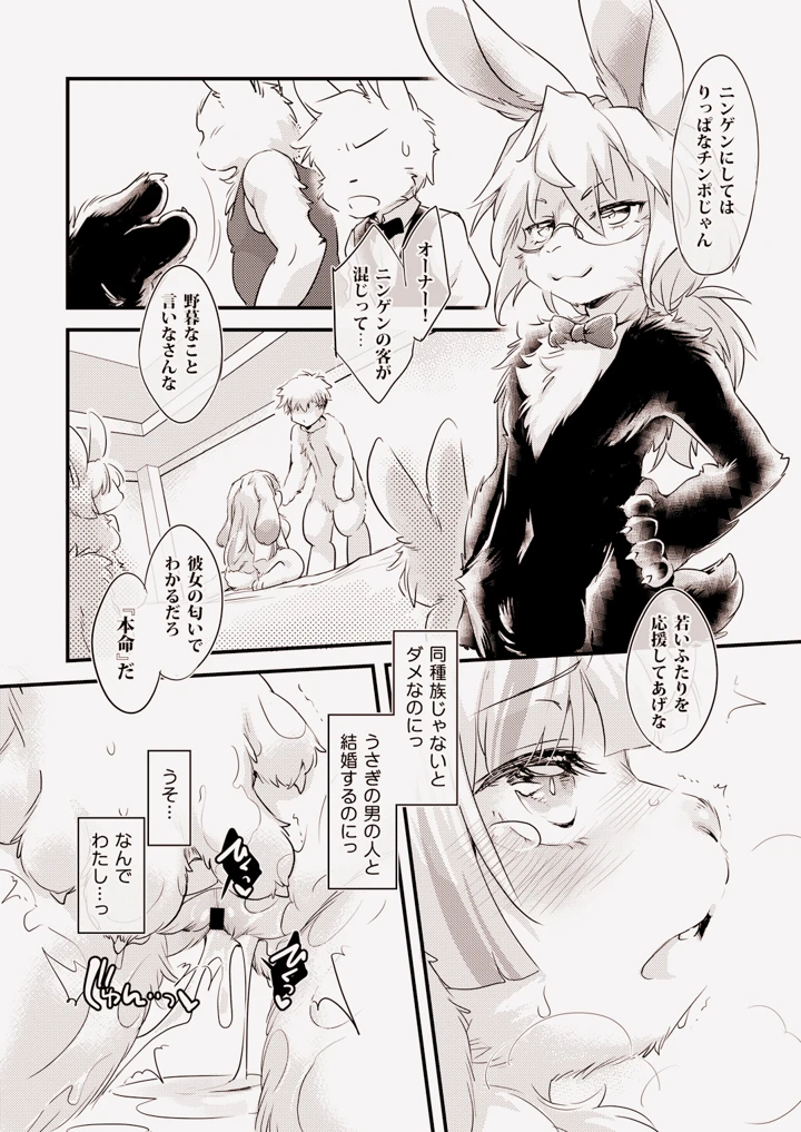 12ページ目