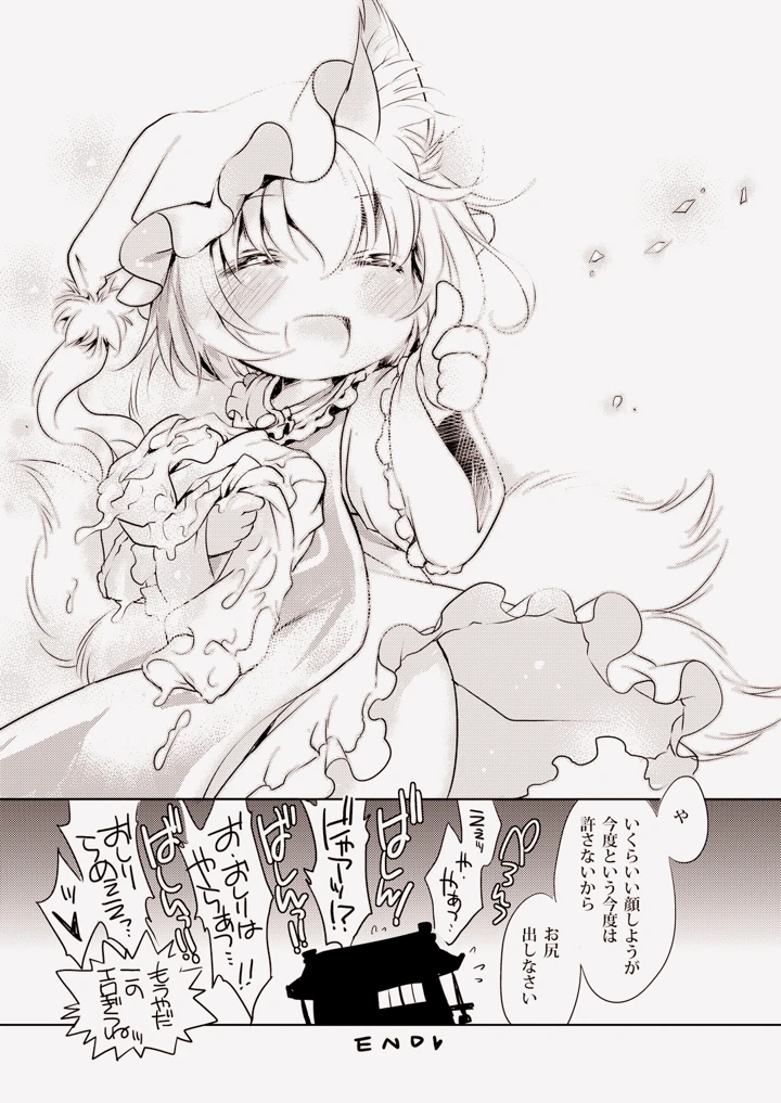 17ページ目