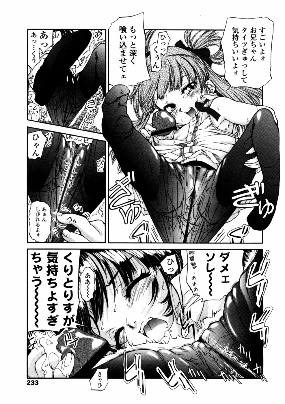 233ページ目