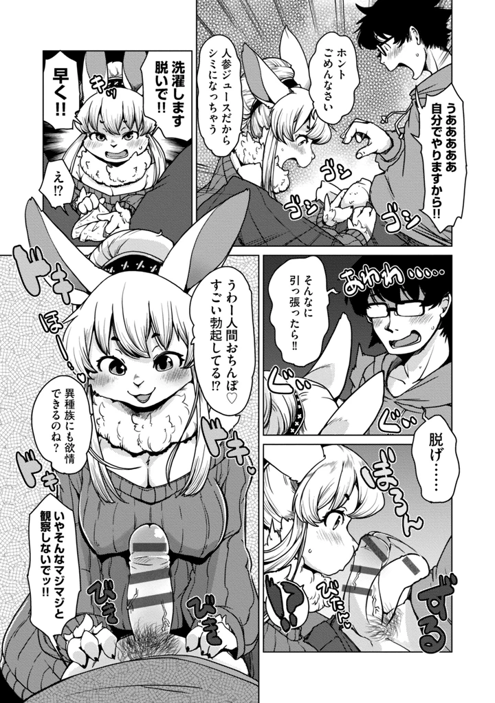 13ページ目