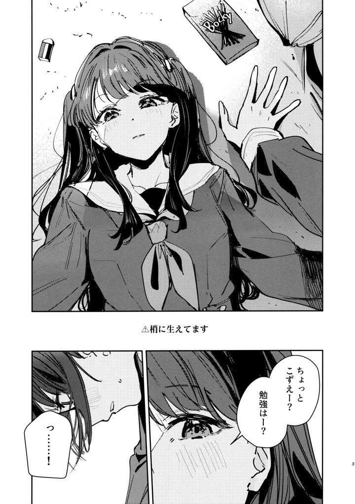 2ページ目