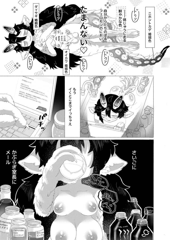 19ページ目