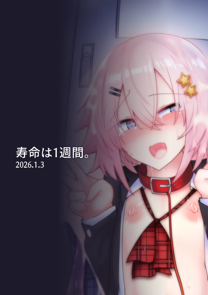 22ページ目