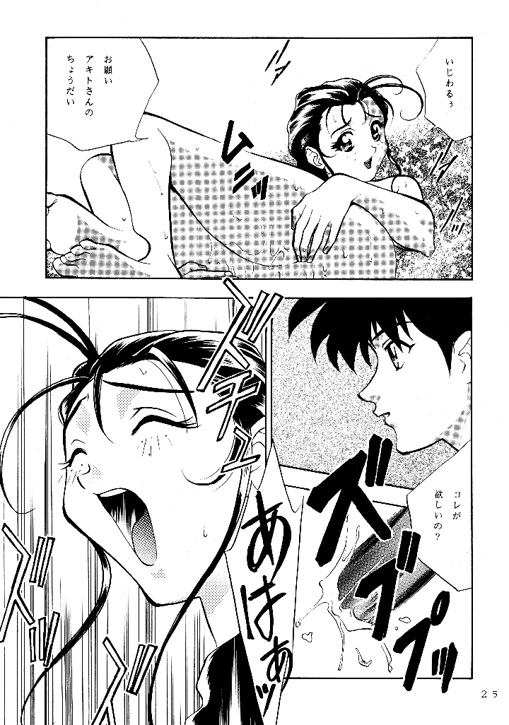 24ページ目