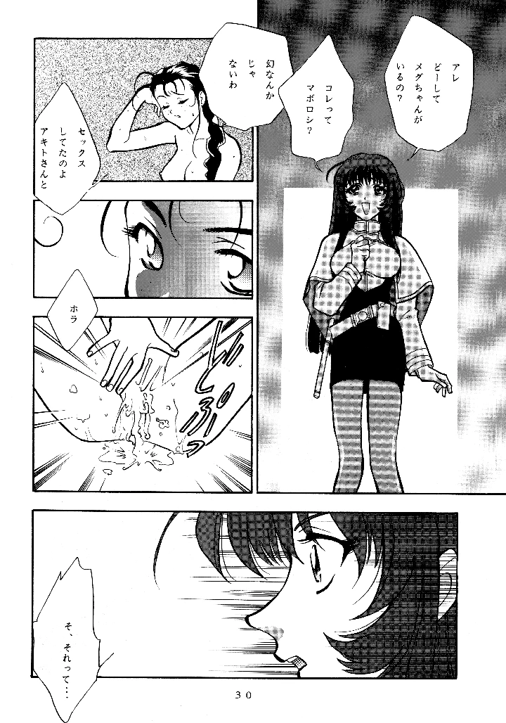 29ページ目