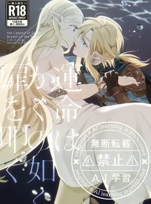 惚れてまうーやろ (まうー)のその他の作品（同人誌）　［惚れてまうーやろ　（まうー）］　運命はかくの如く扉を叩く　（ゼルダの伝説　ティアーズ　オブ　ザ　キングダム）　［DL版］