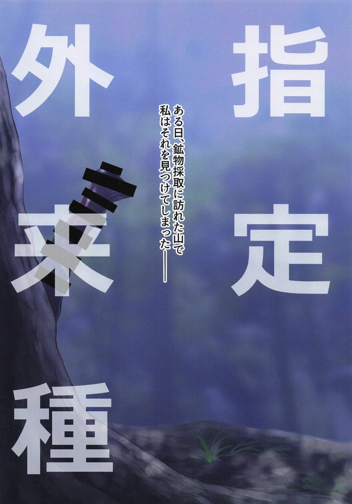 2ページ目