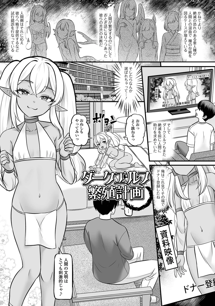 3ページ目