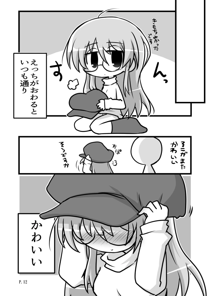 12ページ目