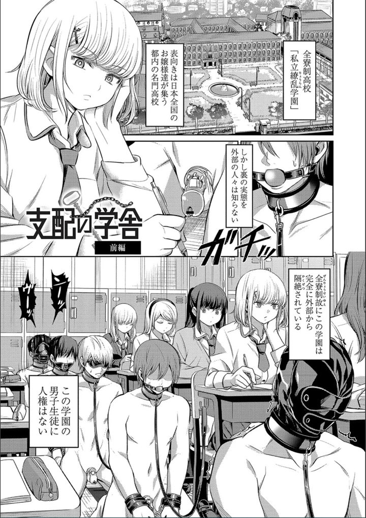 ［山畑璃杏］　ざ・ふぃめーる・どみねーしょん【FANZAデジタル特装版】 11ページ
