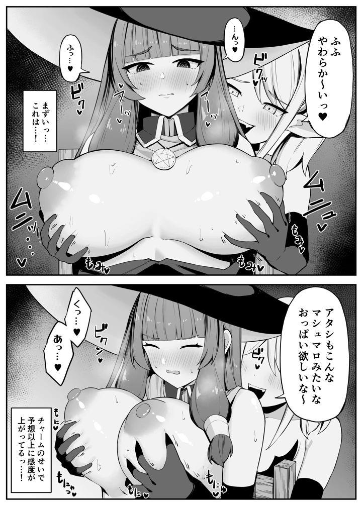 （同人誌）　［おもちのもち屋　（ぬまもち）］　最強ウィッチがサキュバスに魅了されて敗北する話　（オリジナル） 16ページ