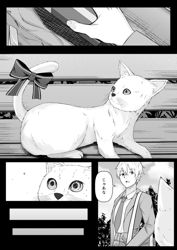 5ページ目