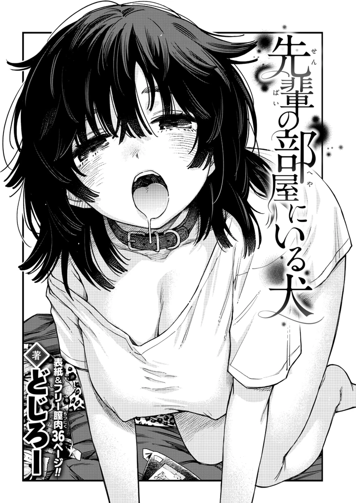 13ページ目