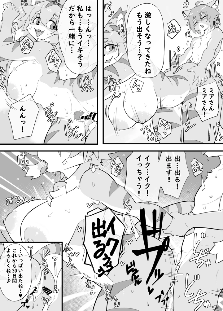 11ページ目
