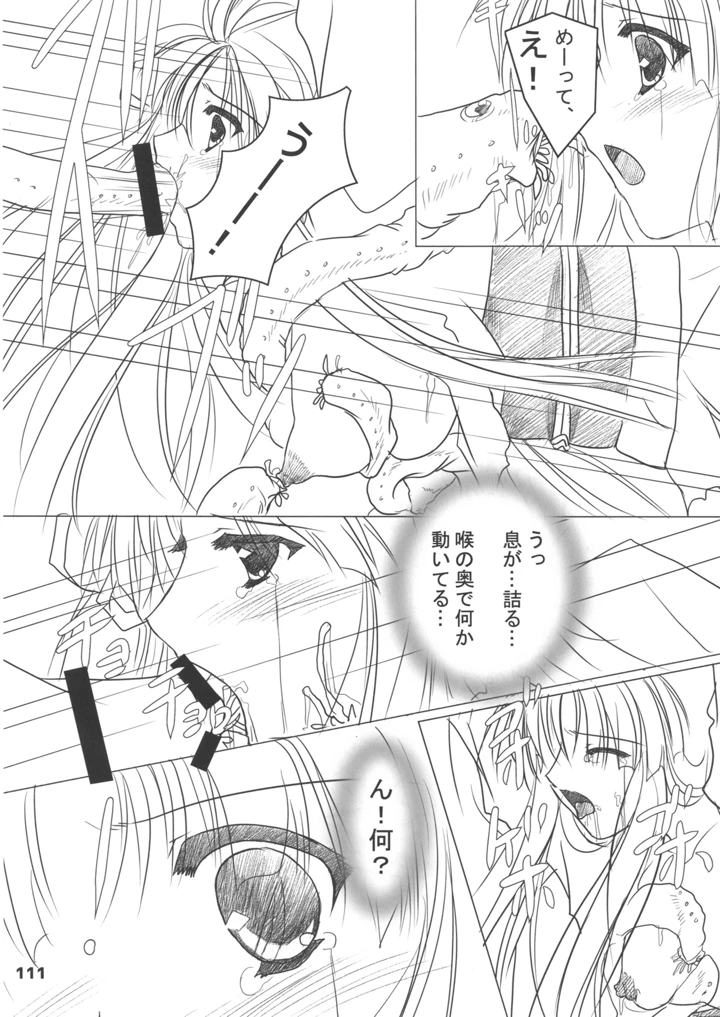 111ページ目