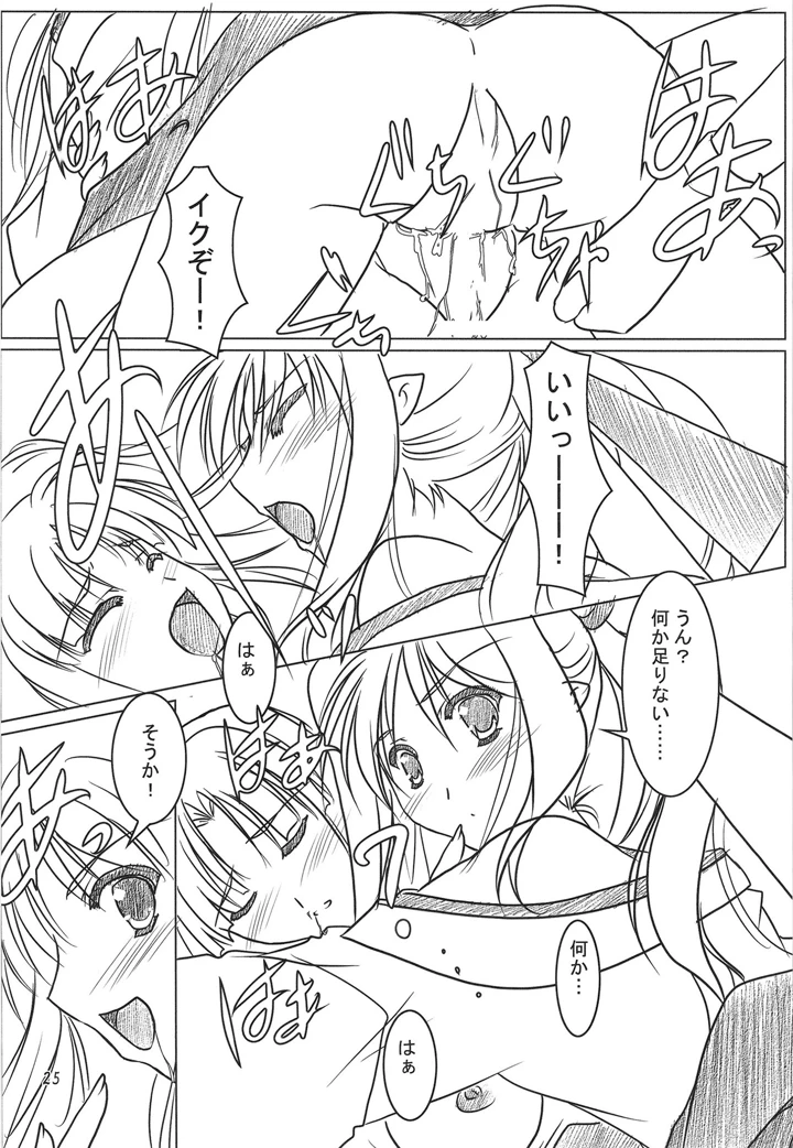24ページ目