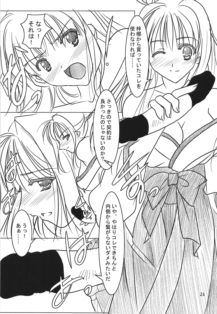 25ページ目