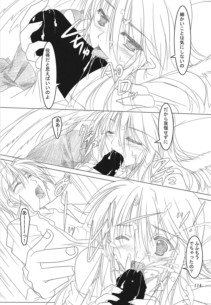 113ページ目
