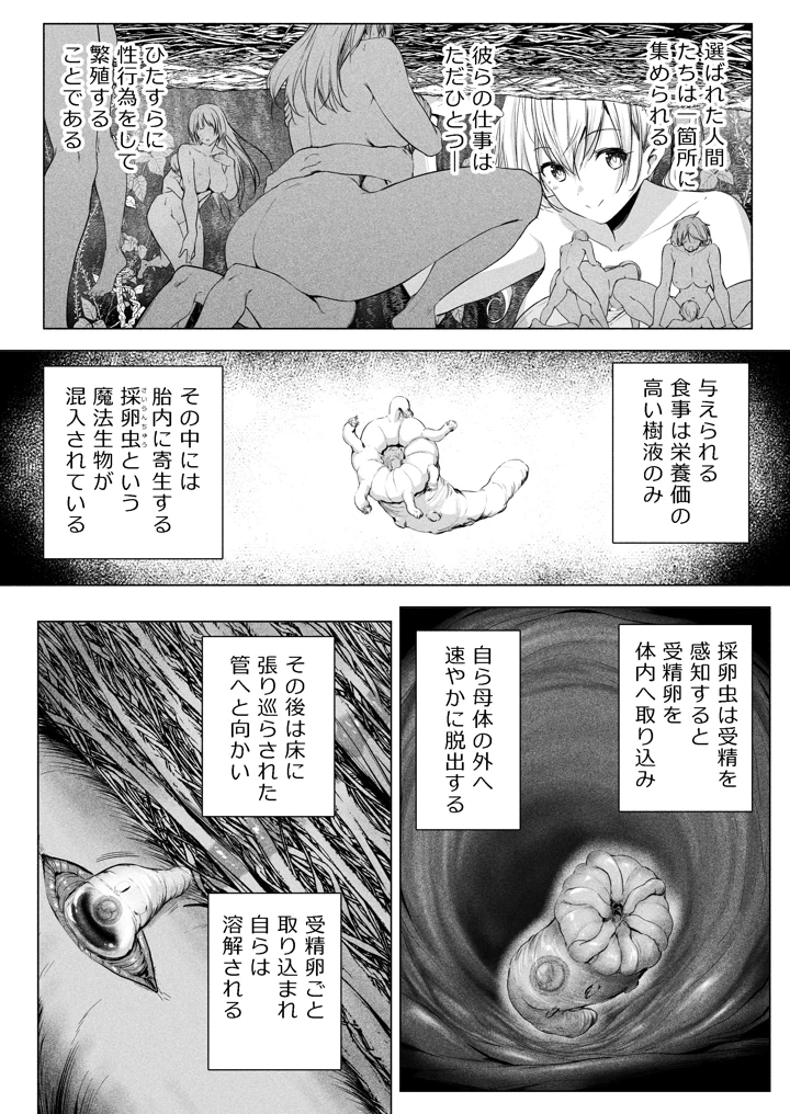 26ページ目