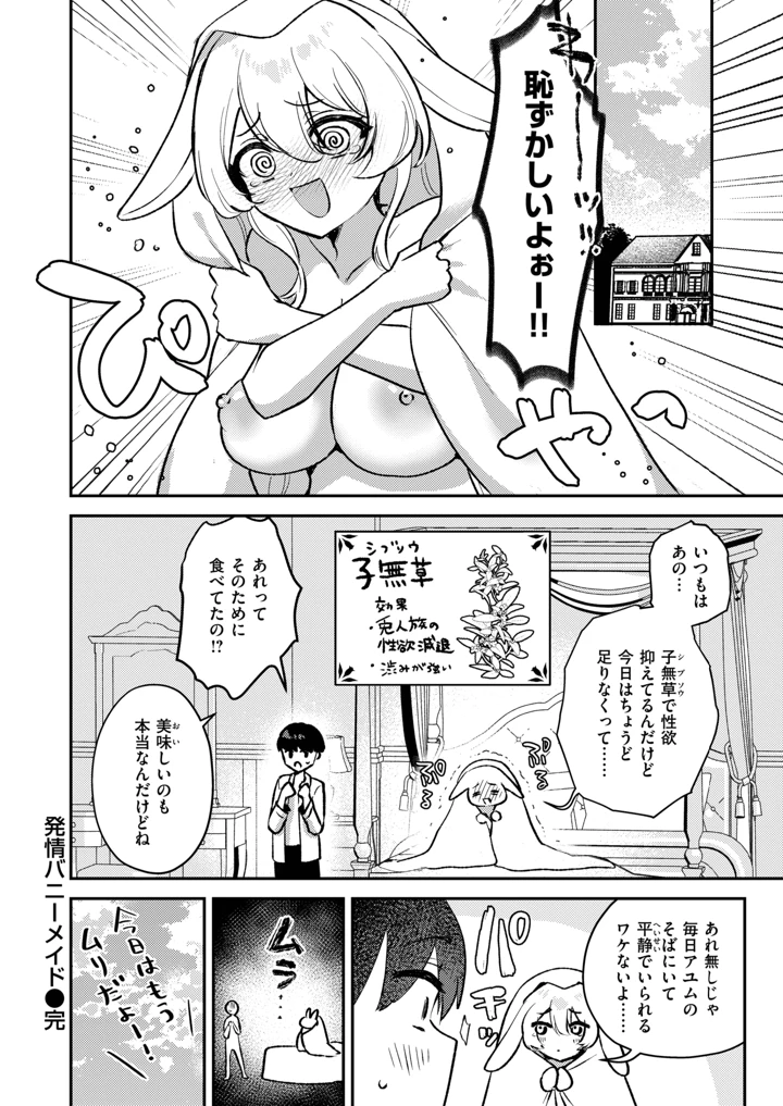 66ページ目