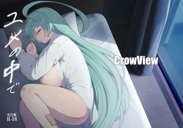 （C107）　［CrowView　（たじ）］　ユメの中で　（先行版）　（ブルーアーカイブ）　［DL版］ 1ページ