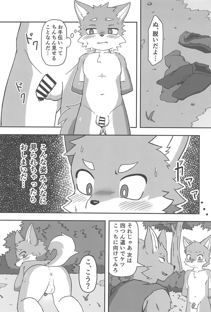 11ページ目