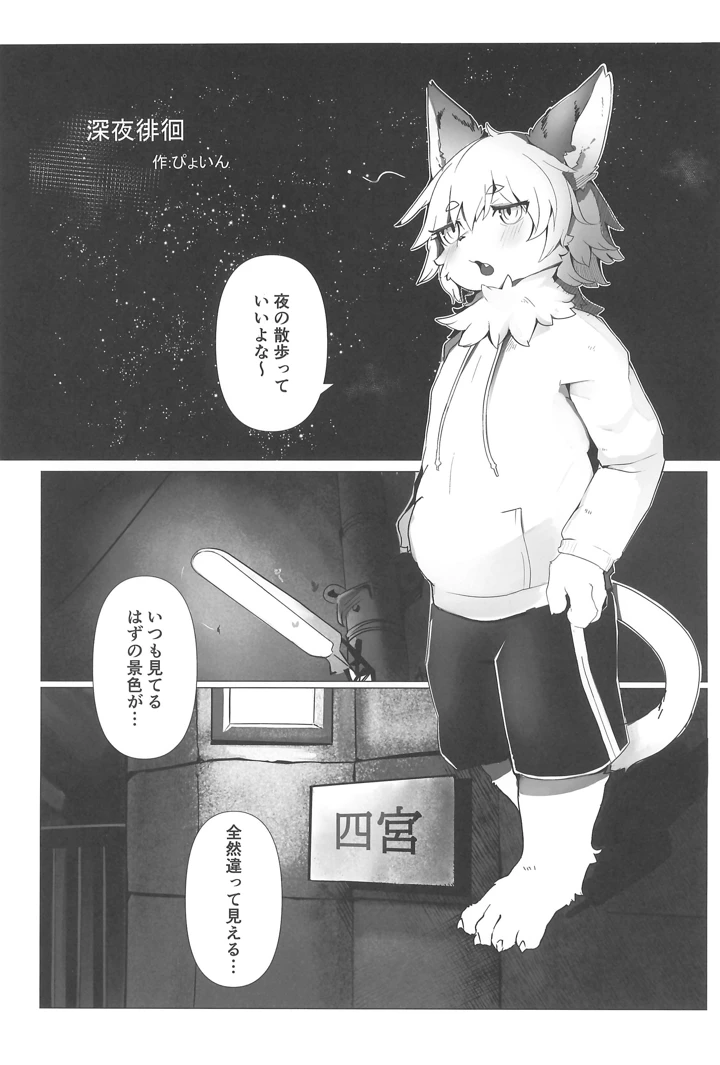 27ページ目