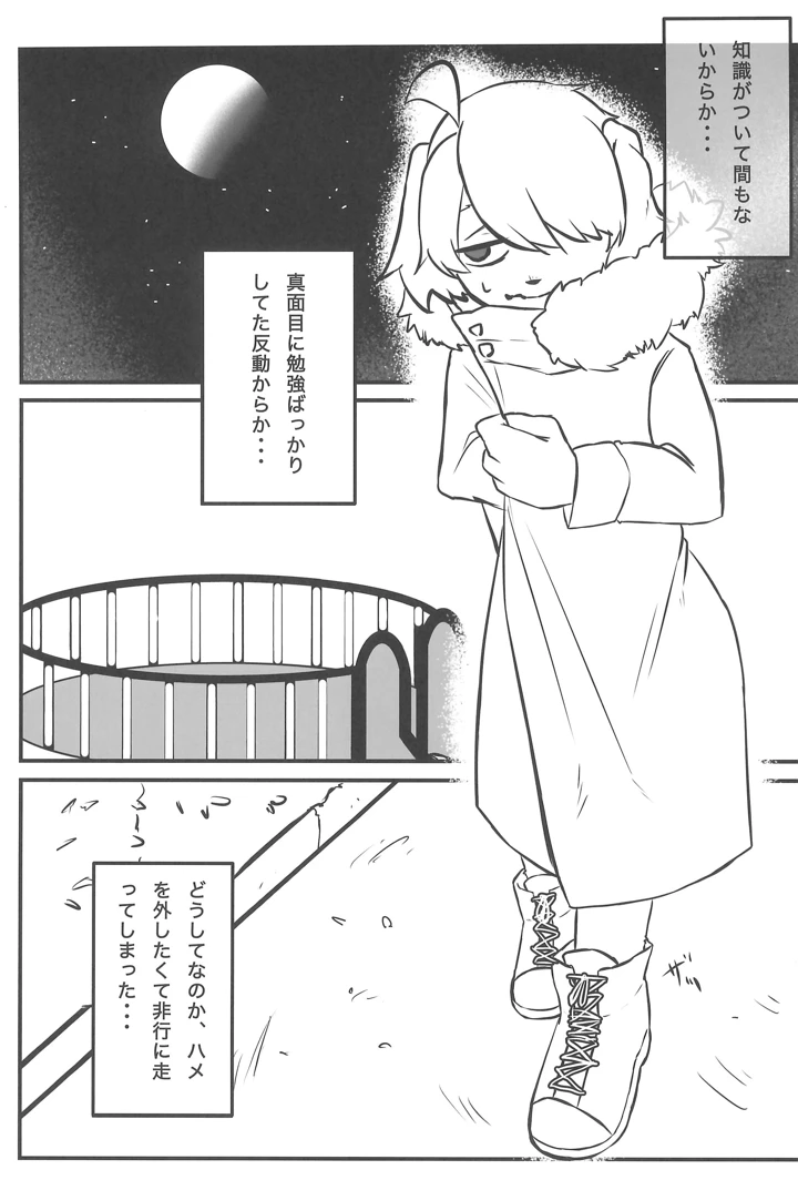 33ページ目