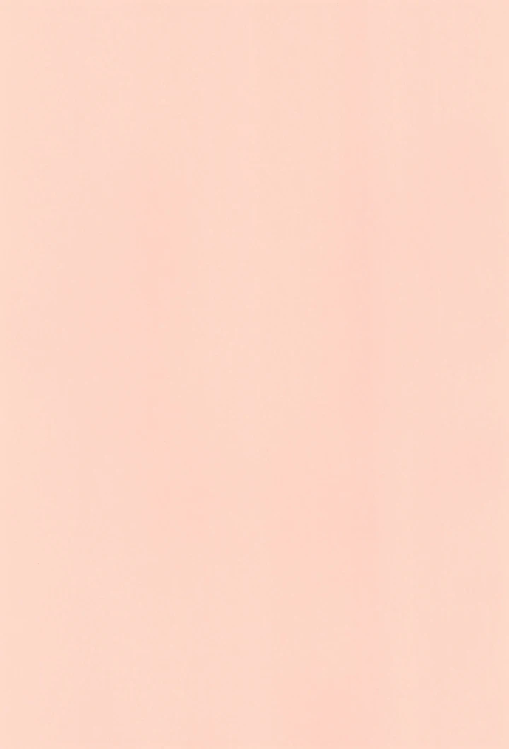 3ページ目