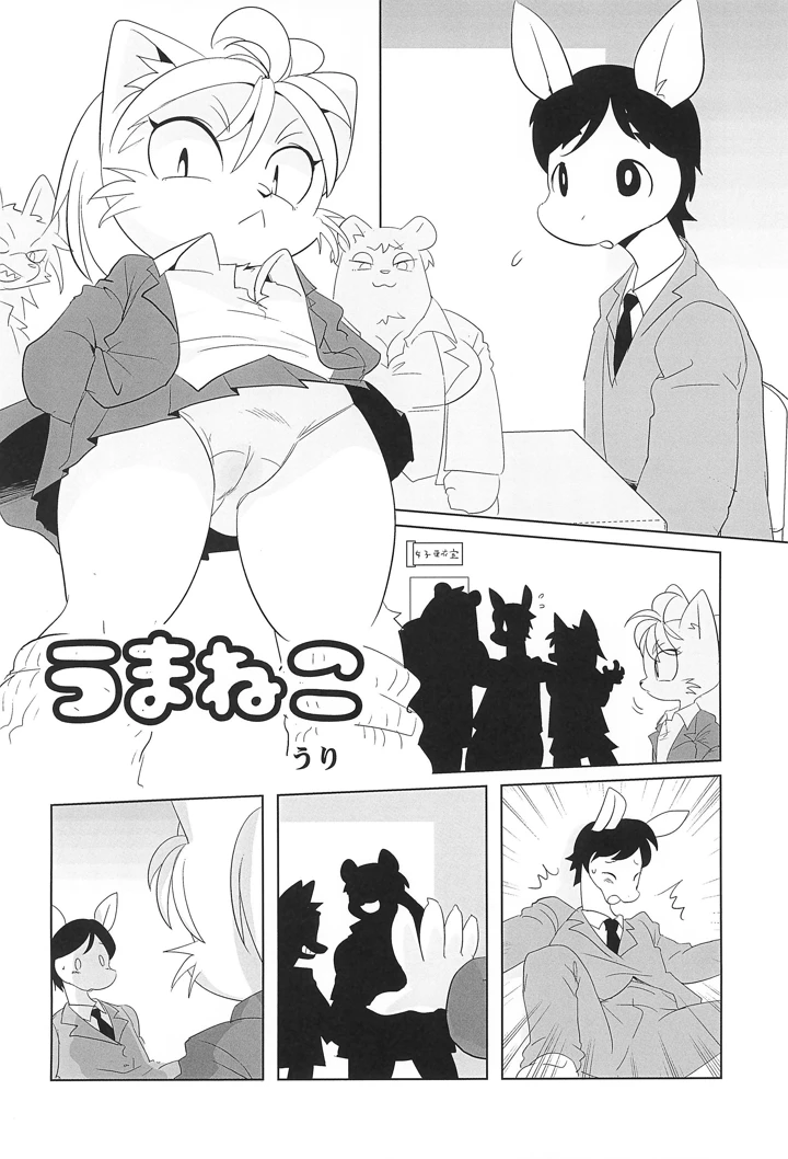 14ページ目