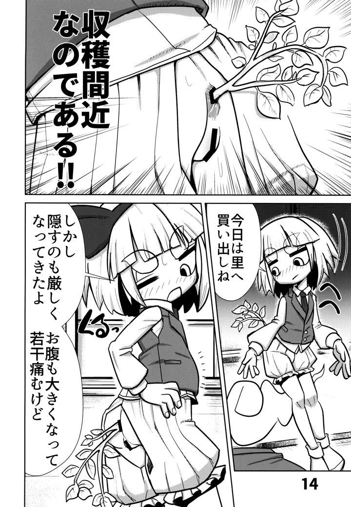 （同人誌）　［NO相撲KING　（吸斬）］　おしりで始めるジャガイモ作り　（東方Project） 15ページ
