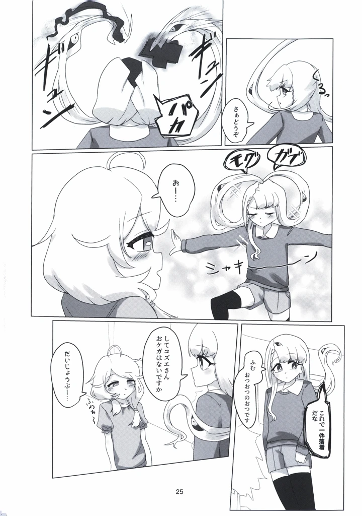 25ページ目