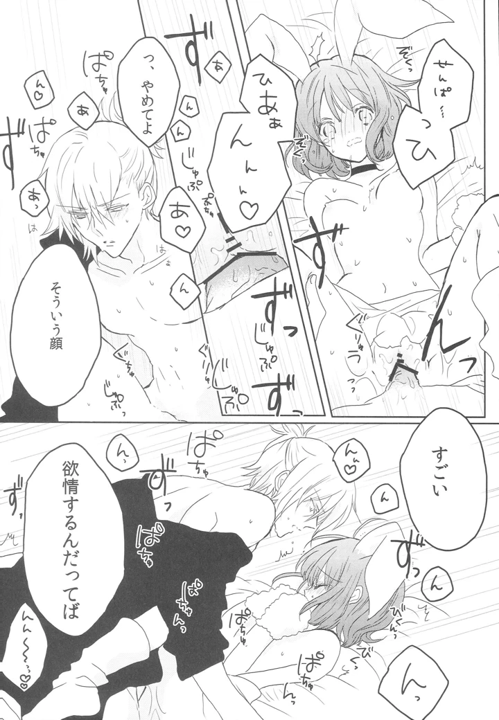 17ページ目