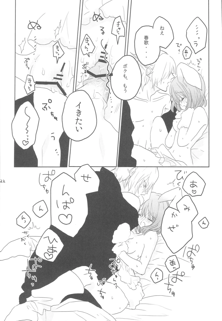 21ページ目