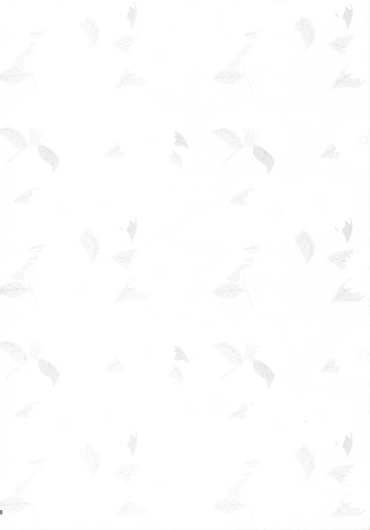3ページ目