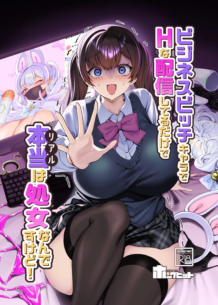 （C108）　［ホークビット　（孝至）］　ビジネスビッチキャラでHな配信してるだけで本当（リアル）は処女なんですけど!　（オリジナル）　［DL版］ 2ページ