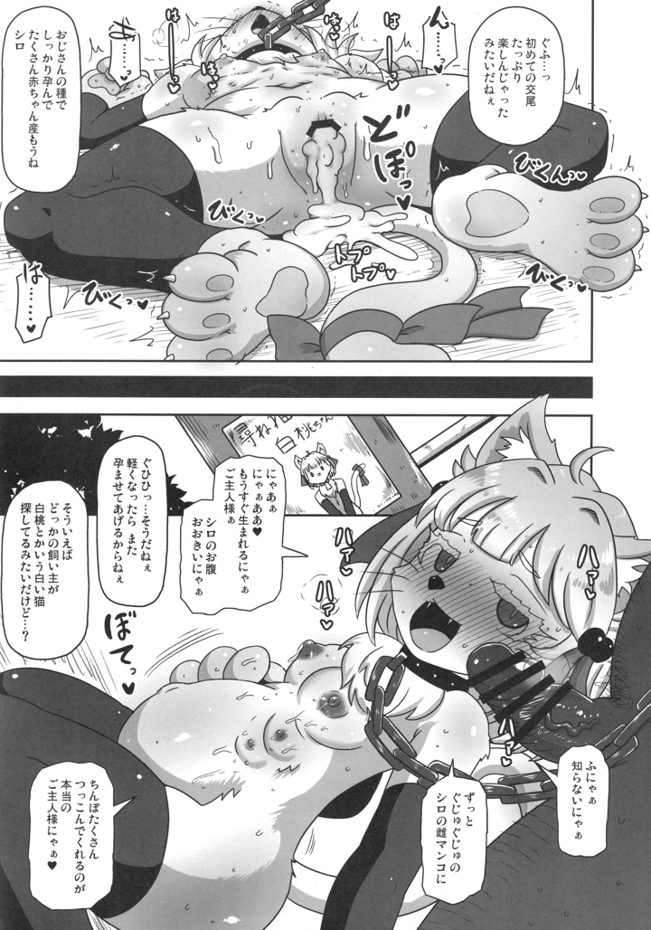 233ページ目