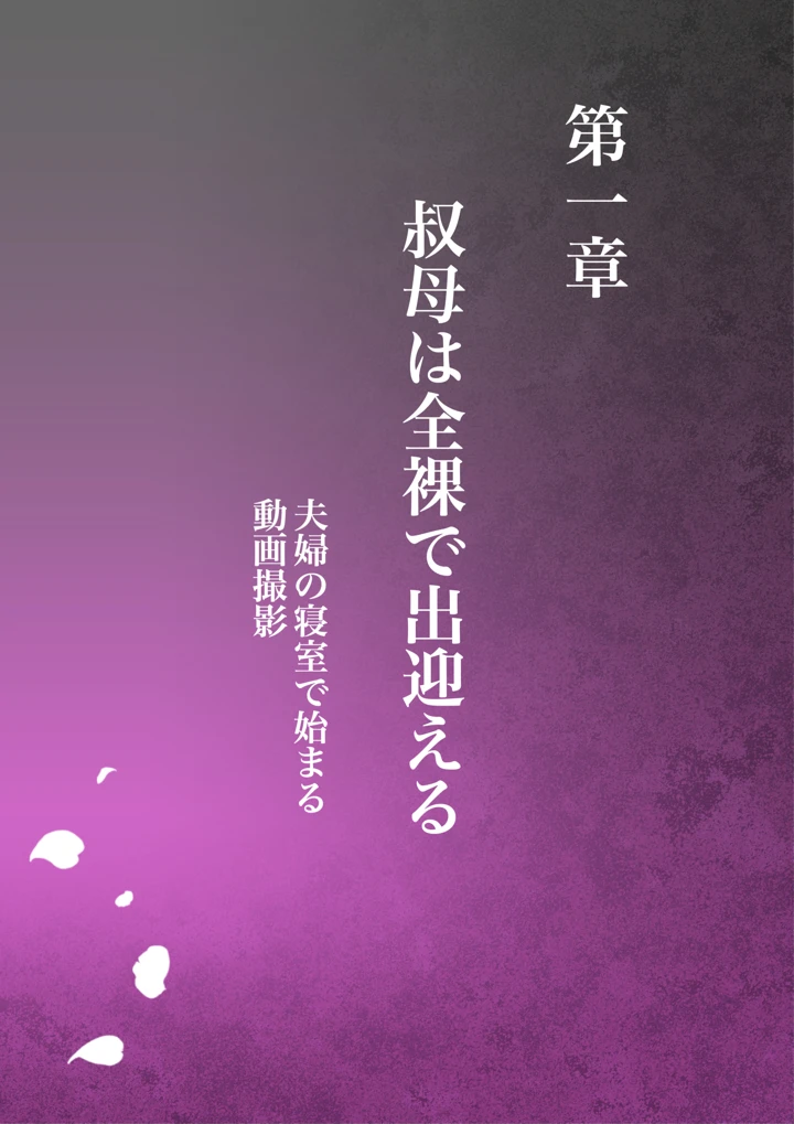 （同人誌）　［ミルフ書房］　叔母真奈美　夫婦の寝室で同人AV撮影される　あこがれの叔母を寝取る3　（オリジナル） 3ページ